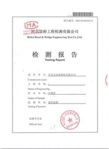 山东公司检测报告